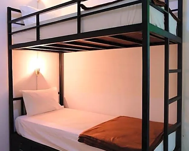 The Cheap & Cozy *