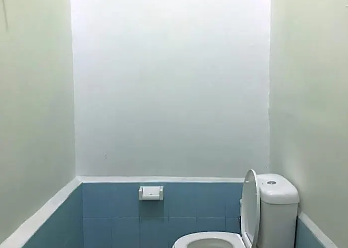 The Cheap & Cozy Hostel Canggu (Bali)